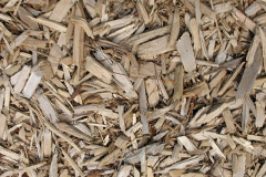 biomass boilers Moulsoe